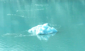 natura: immagine di lago ghiacciato